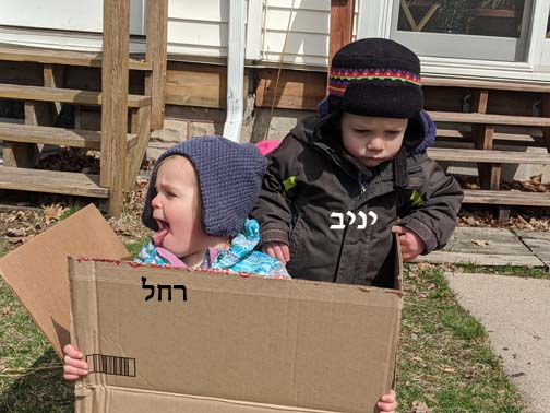 kids in box