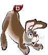 bunny
