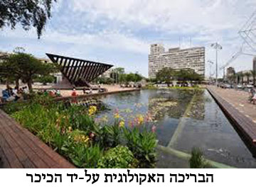 kikkarRabin_pool